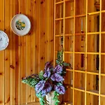 Per Max 4 Persone Casa Dello Sciatore *