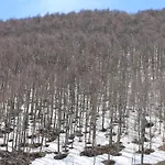 Per Max 4 Persone Casa Dello Sciatore * Roccaraso