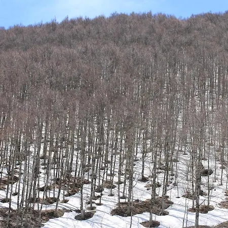 Per Max 4 Persone Casa Dello Sciatore * روكاراسو