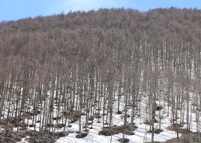 Per Max 4 Persone Casa Dello Sciatore * Roccaraso